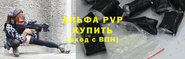 молекула духа Костерёво