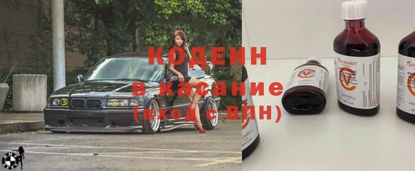 молекула духа Костерёво