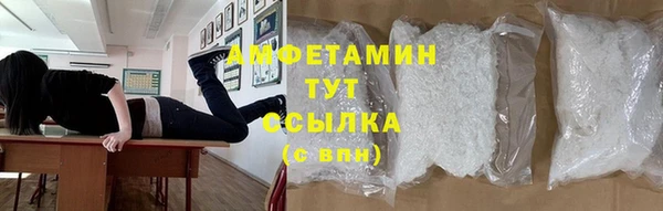 молекула духа Костерёво
