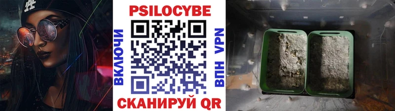 hydra зеркало магазин продажи наркотиков Ахтырский Галлюциногенные грибы ЛСД